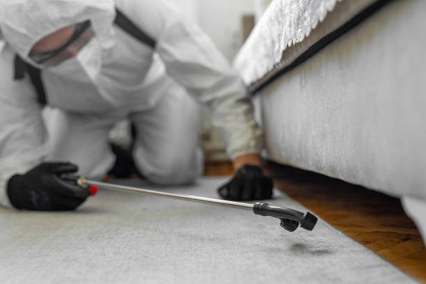 Professional Emergency Pest Control technician working in Muhlenberg Park, PA