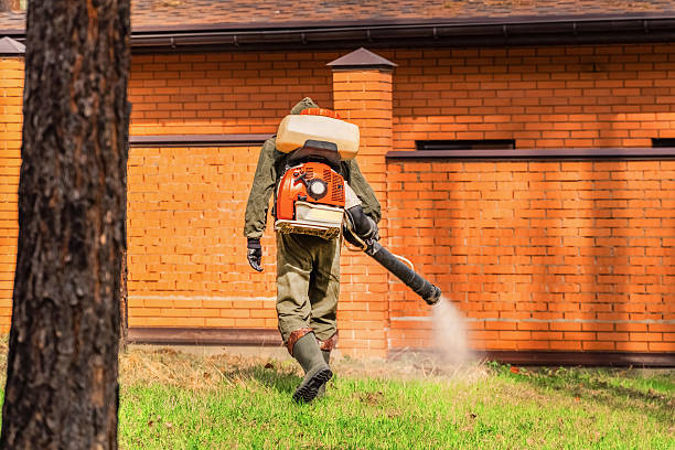 Trusted Rodent Control service in Muhlenberg Park, PA - Nex Pest Control